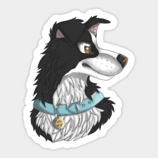 Black Border Collie Sticker